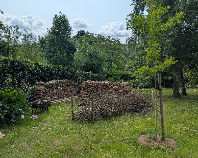 Milieux ligneux